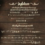 Joyfulness Script Font Poster 8