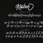 Kaibon Font Poster 6