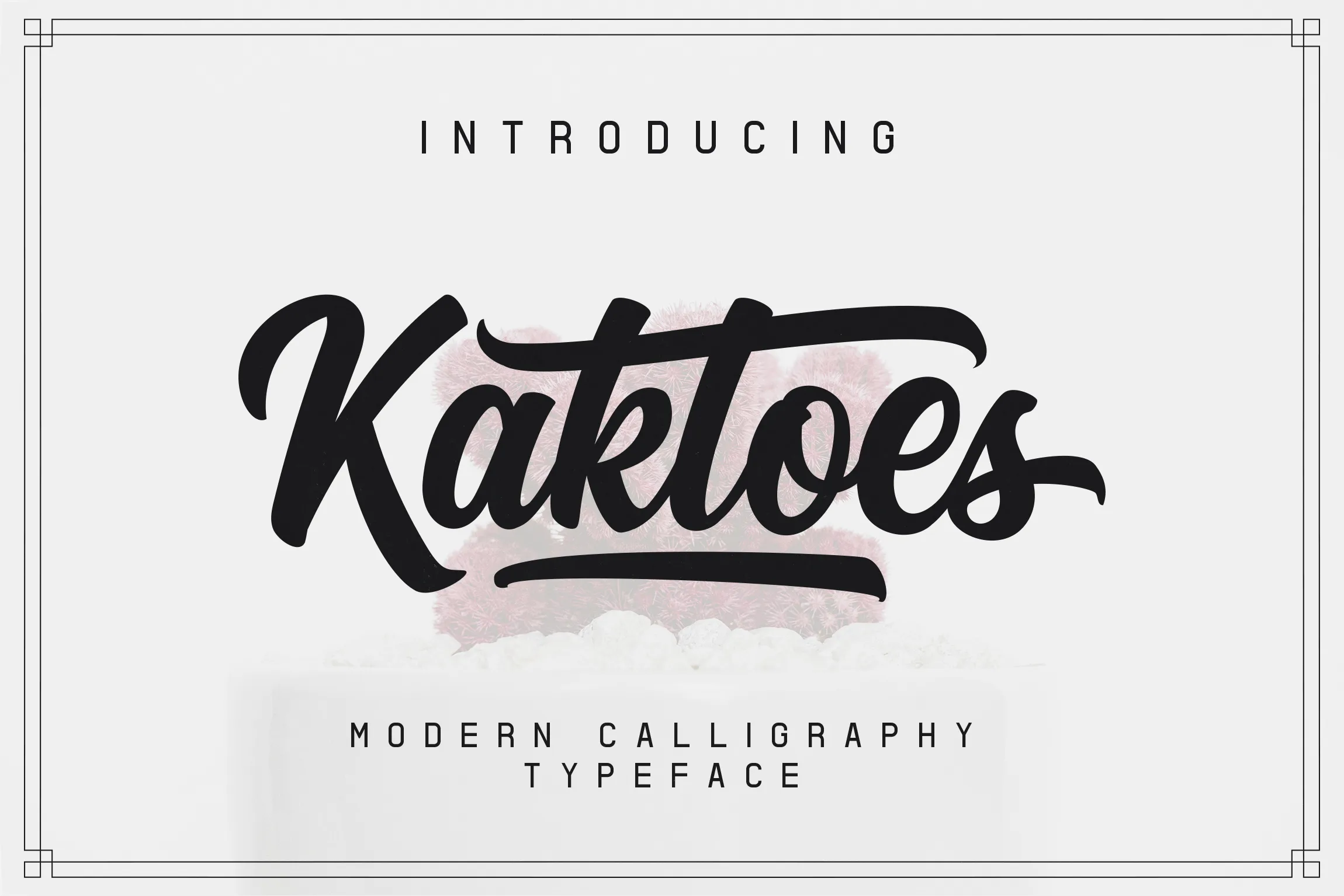 Kaktoes Font Kaktoes Font Poster 1