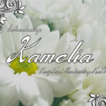 Kamelia Font Poster 1