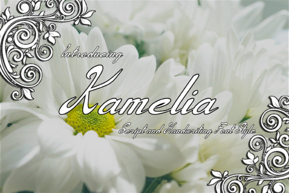 Kamelia Font