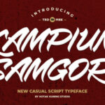 Kampiun Samgor Font Poster 1