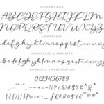 Karllistic Script Font Poster 11