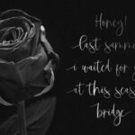 Kindora Script Font Poster 12