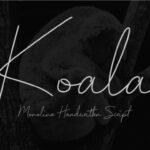 Koala Script Font Poster 1