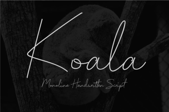 Koala Script Font Poster 1