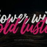 Korey Sister Font Poster 5