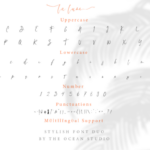 La Lune Duo Font Poster 7