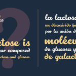 Lactosa Font Poster 2