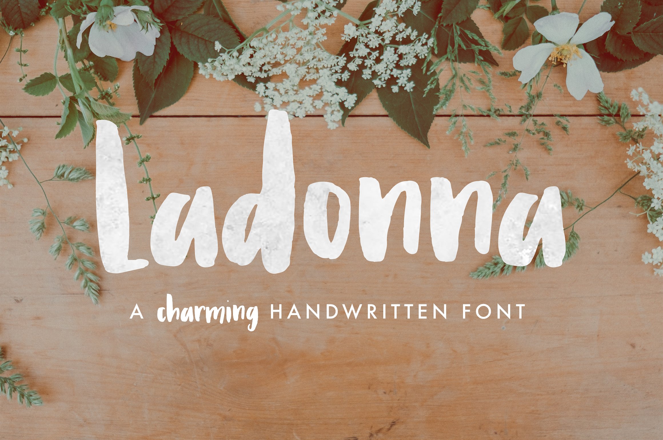 Ladonna Font Poster 1