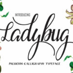 Ladybug Font Poster 1