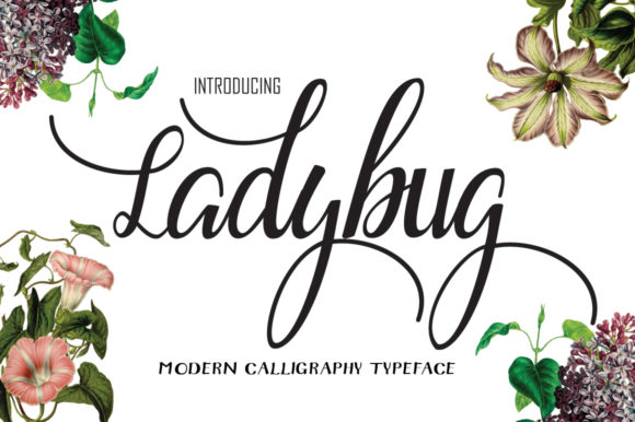 Ladybug Font Poster 1