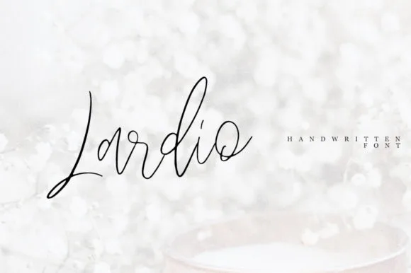 Lardio Font Lardio Font Poster 1