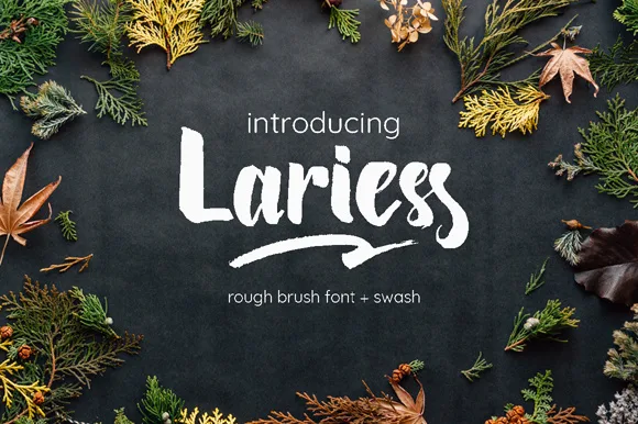 Lariess Font Lariess Font Poster 1