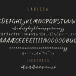 Larissa Duo Font Poster 8