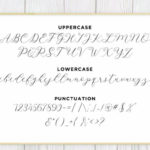 Latia Script Font Poster 17