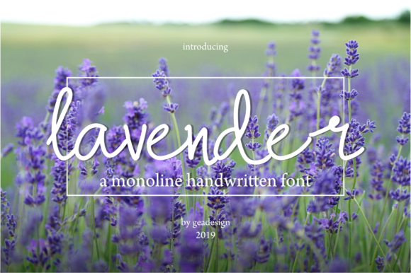 Lavender Font