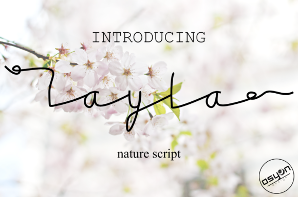 Layla Font