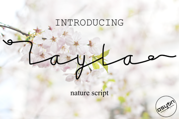 Layla Font Poster 1