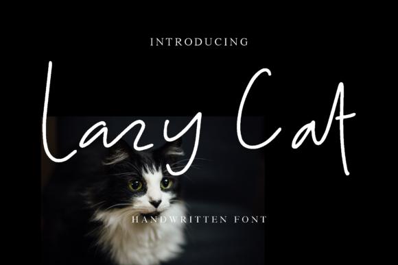 Lazy Cat Font