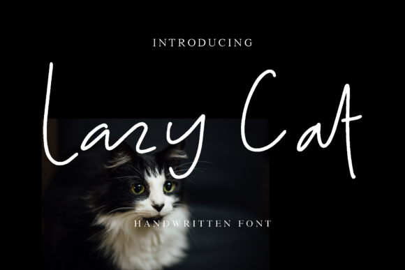 Lazy Cat Font Poster 1