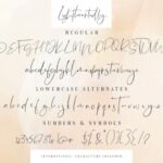 Lightheartedly Font Poster 13