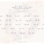 Lillian Script Font Poster 6