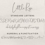 Little Rose Font Poster 14