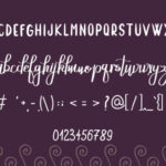 Long Velvet Font Poster 3