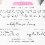 Lovely Photograph Font Poster 9