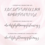 Lovestrong Font Poster 6