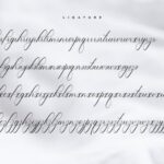 Lucianda Script Font Poster 7