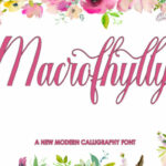 Macrofhyllya Script Font Poster 1