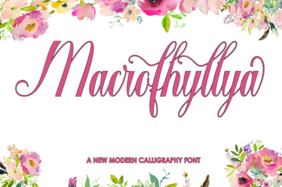 Macrofhyllya Script Font Poster 1