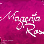 Magenta Rose Font Poster 1