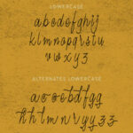 Magna Font Poster 12