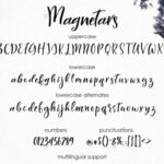 Magnetars Font Poster 3