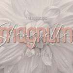 Magnum Shangrella Duo Font Poster 1