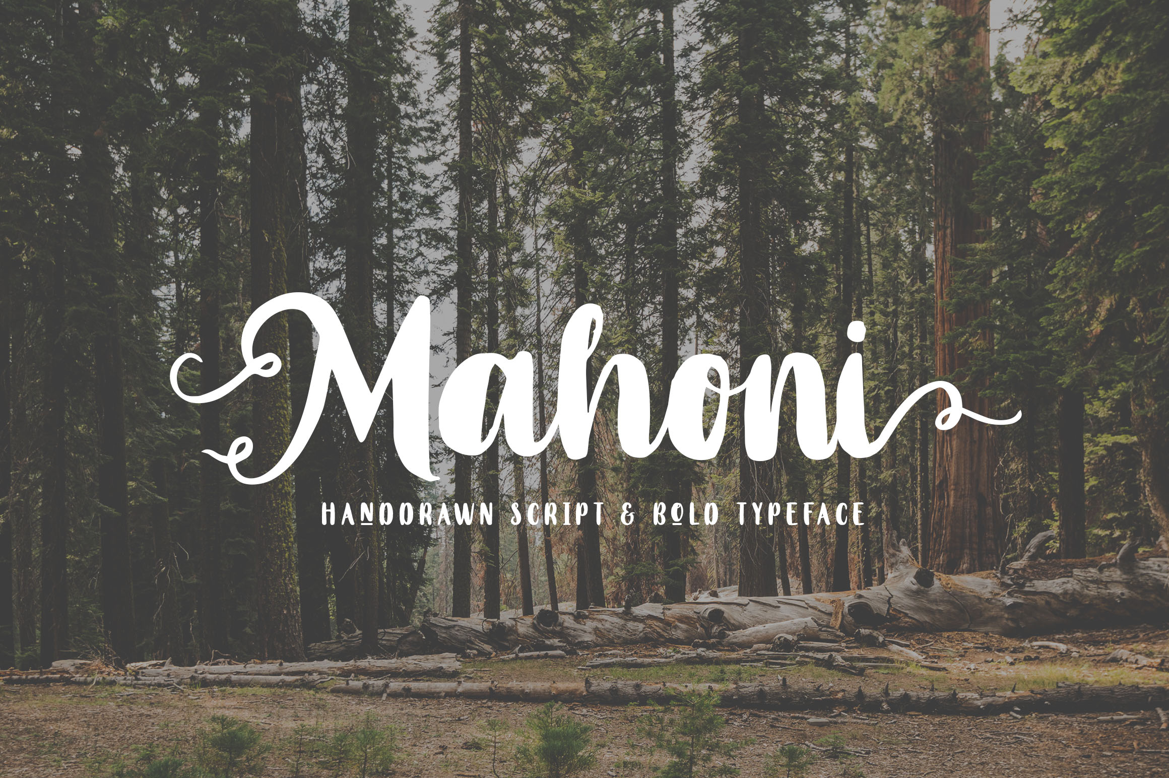 Mahoni Font Poster 1