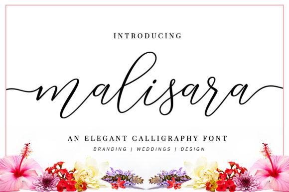 Malisara Script Font Poster 1