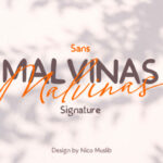 Malvinas Duo Font Poster 1