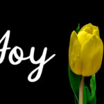 Manee Font Poster 8