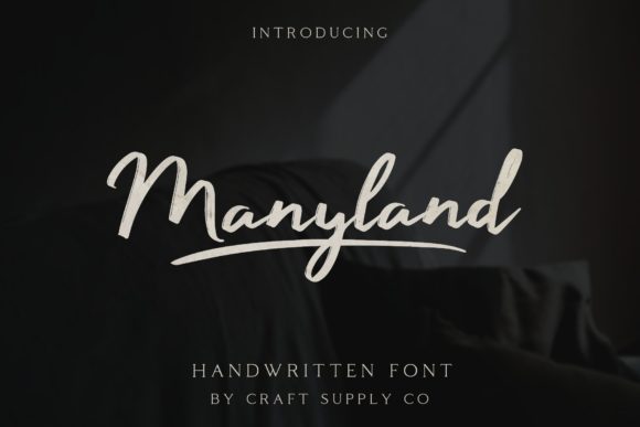 Manyland Font Poster 1