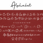 Mariachi Script Font Poster 22