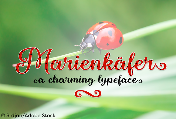 Marienkaefer Font