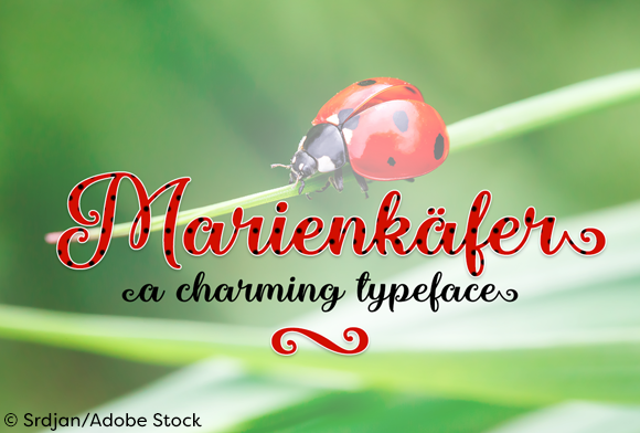 Marienkaefer Font Marienkaefer Font Poster 1