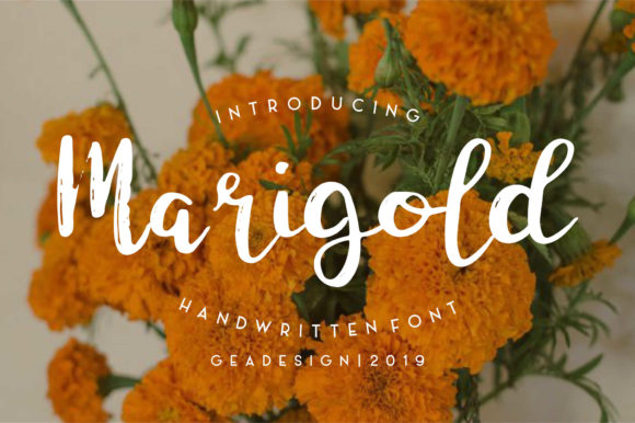 Marigold Font Poster 1