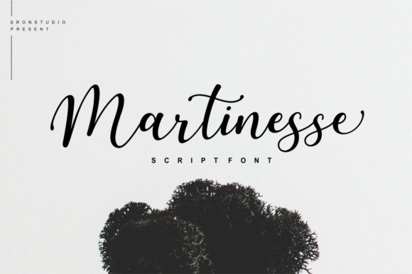 Martinesse Script Font Poster 1