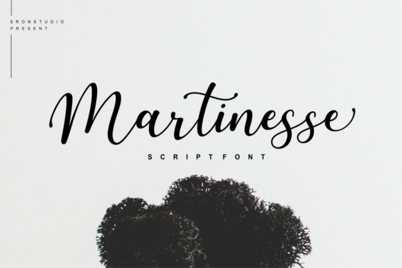 Martinesse Script Font