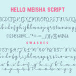 Meisha Duo Font Poster 9